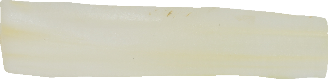 セロリ｜商用可フリー画像・背景透過