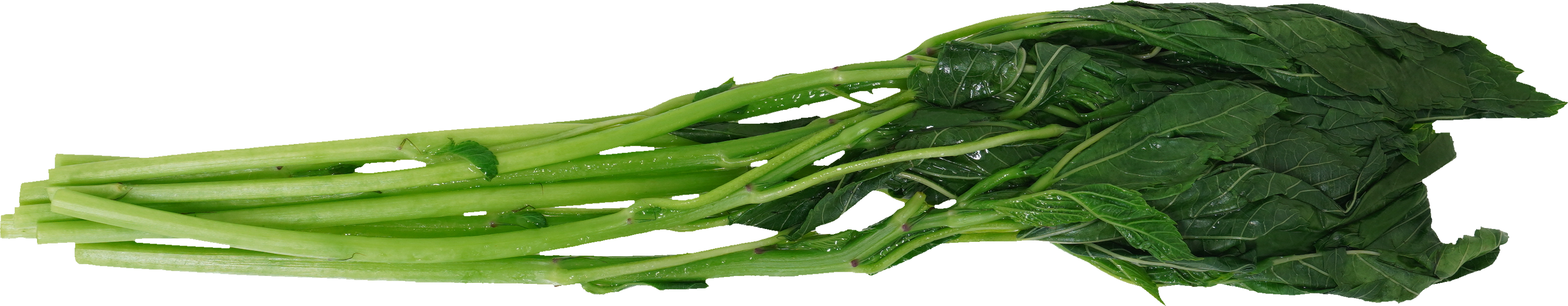 モロヘイヤ（ゆで）｜商用可フリー画像・背景透過