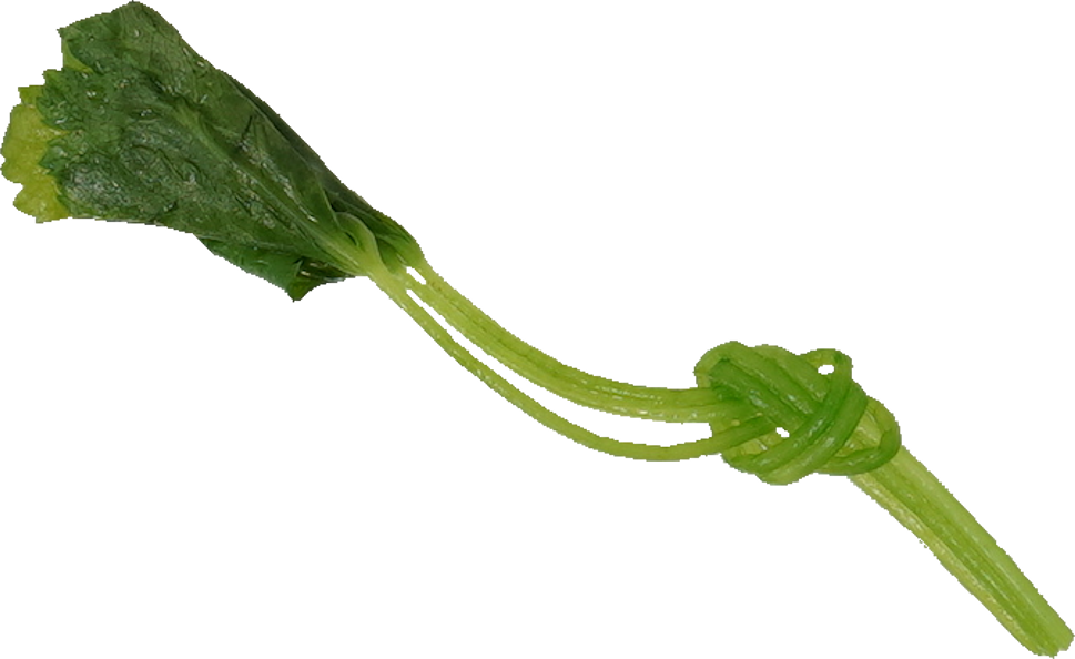 糸みつば｜商用可フリー画像・背景透過