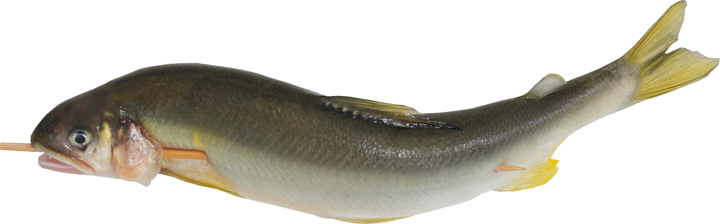 あゆ｜商用可フリー画像・背景透過