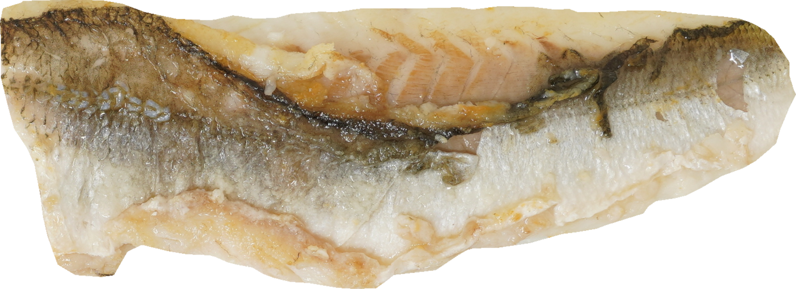 かます（焼き）｜商用可フリー画像・背景透過