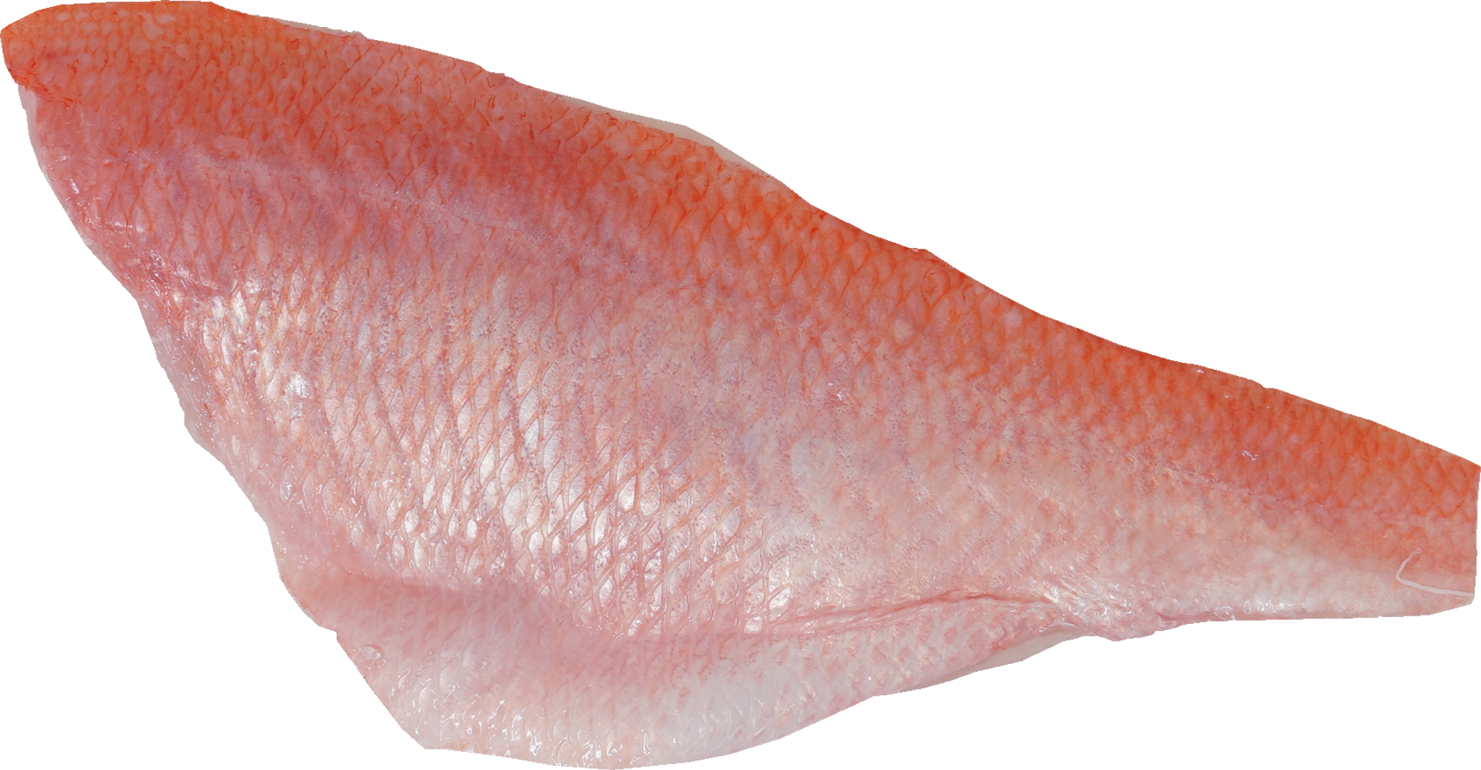 きんめだい｜商用可フリー画像・背景透過