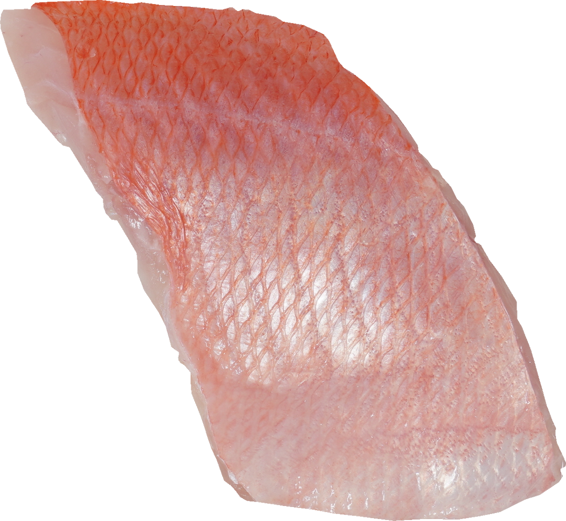 きんめだい｜商用可フリー画像・背景透過