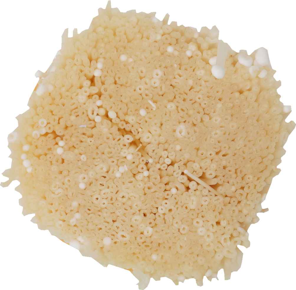 えのきたけ｜商用可フリー画像・背景透過