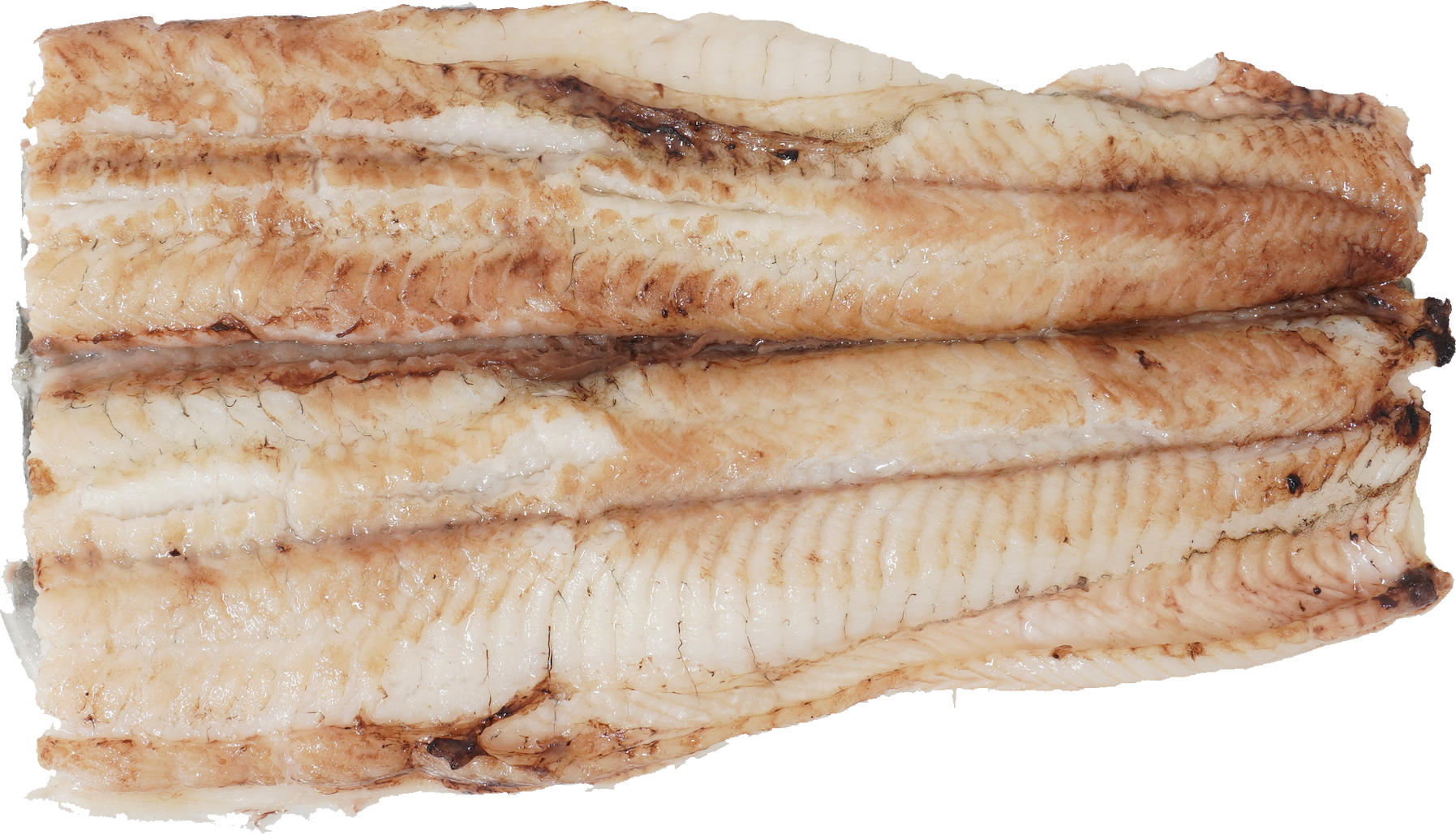 うなぎの白焼き｜商用可フリー画像・背景透過