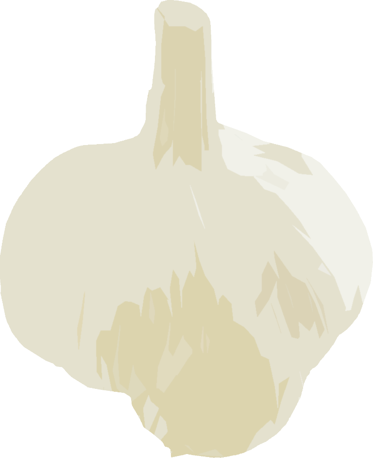 にんにくのイラスト｜商用可フリー画像・背景透過
