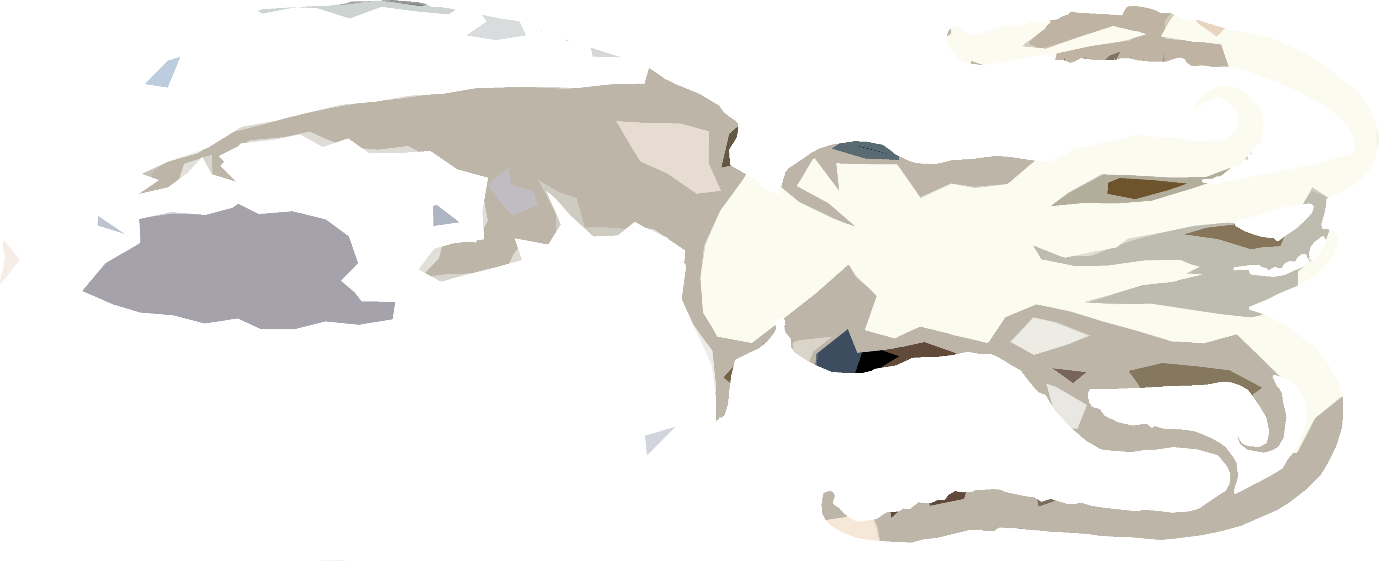 あおりいかのイラスト｜商用可フリー画像・背景透過