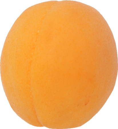 あんず｜商用可フリー画像・背景透過