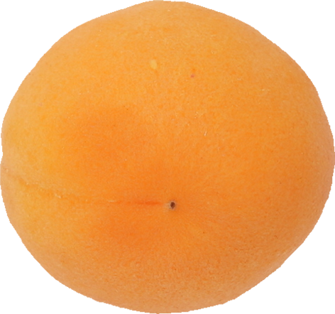 あんず｜商用可フリー画像・背景透過