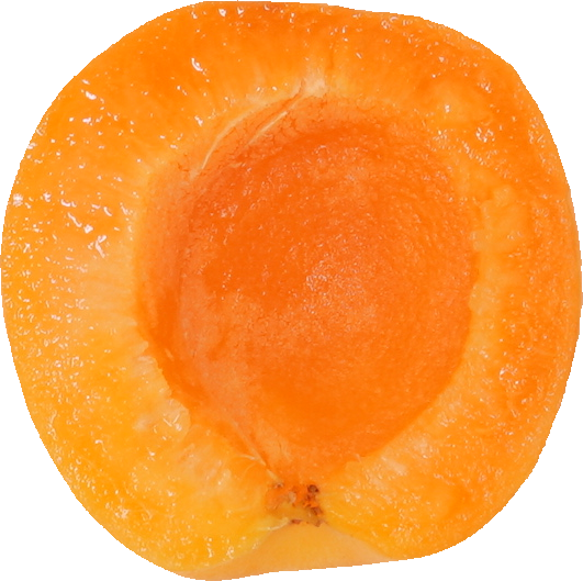 あんず｜商用可フリー画像・背景透過