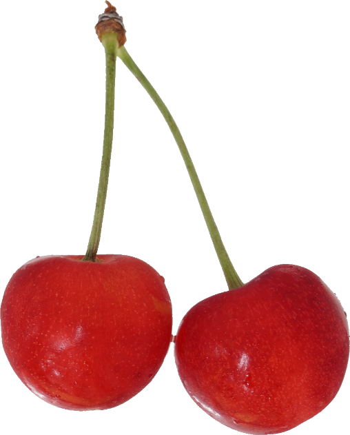 さくらんぼ｜商用可フリー画像・背景透過