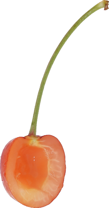 さくらんぼ｜商用可フリー画像・背景透過