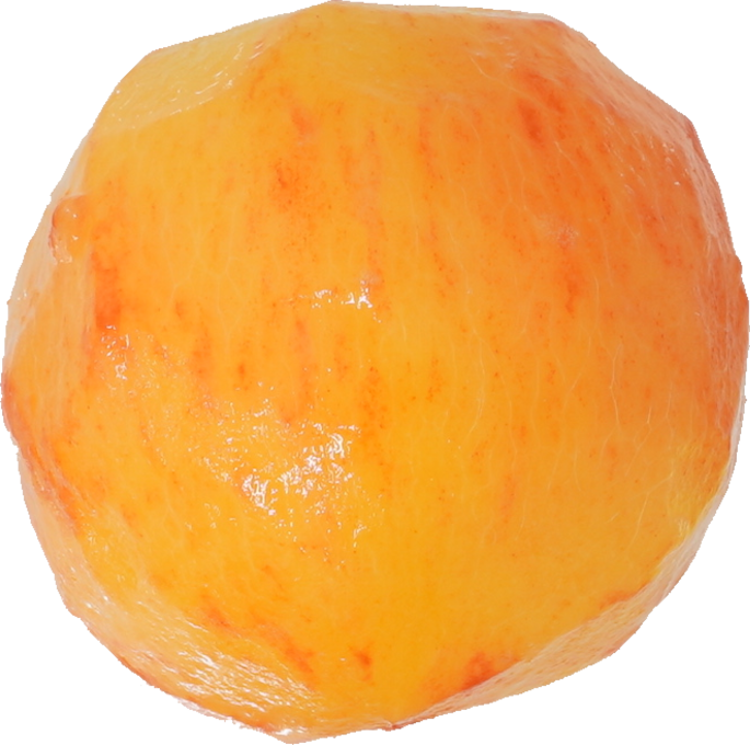 にほんすもも【プラム】｜商用可フリー画像・背景透過