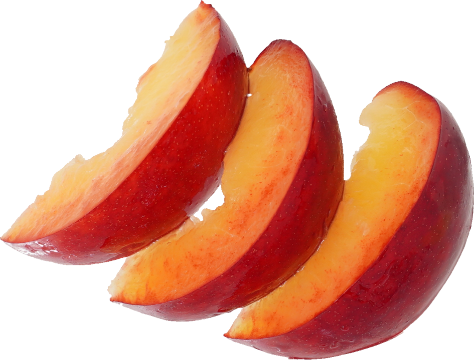 にほんすもも【プラム】｜商用可フリー画像・背景透過