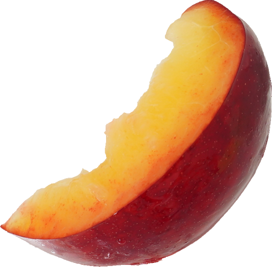 にほんすもも【プラム】｜商用可フリー画像・背景透過