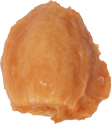 にほんすもも【プラム】｜商用可フリー画像・背景透過