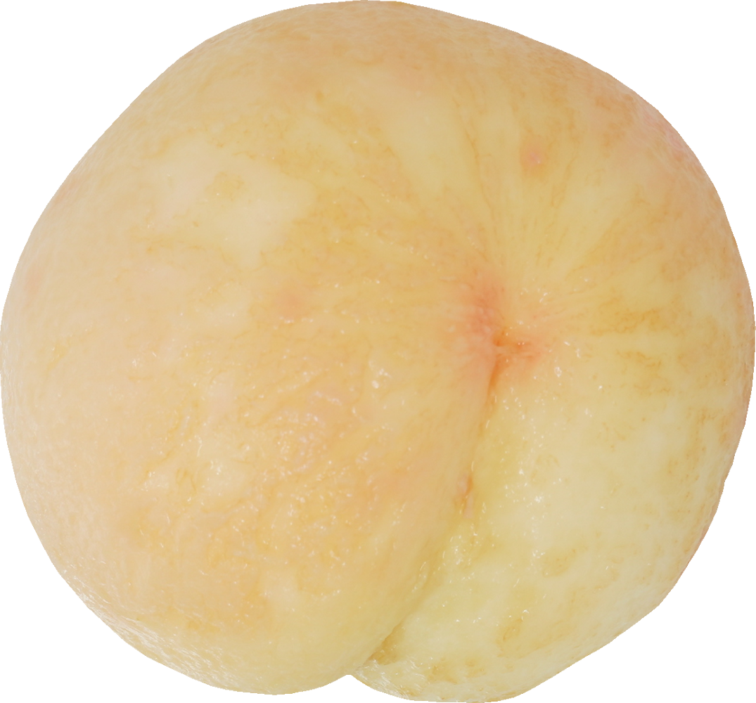 もも｜商用可フリー画像・背景透過