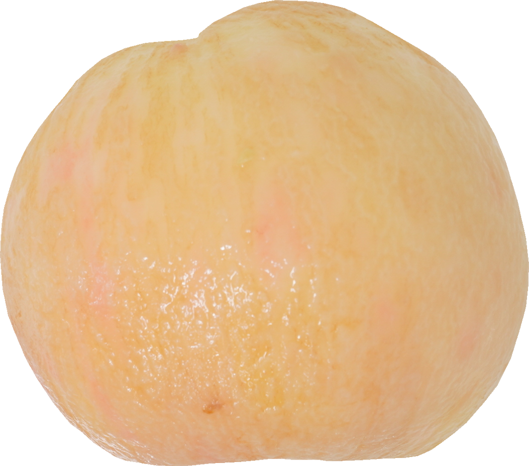 もも｜商用可フリー画像・背景透過