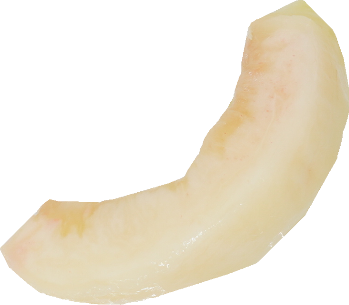 もも｜商用可フリー画像・背景透過