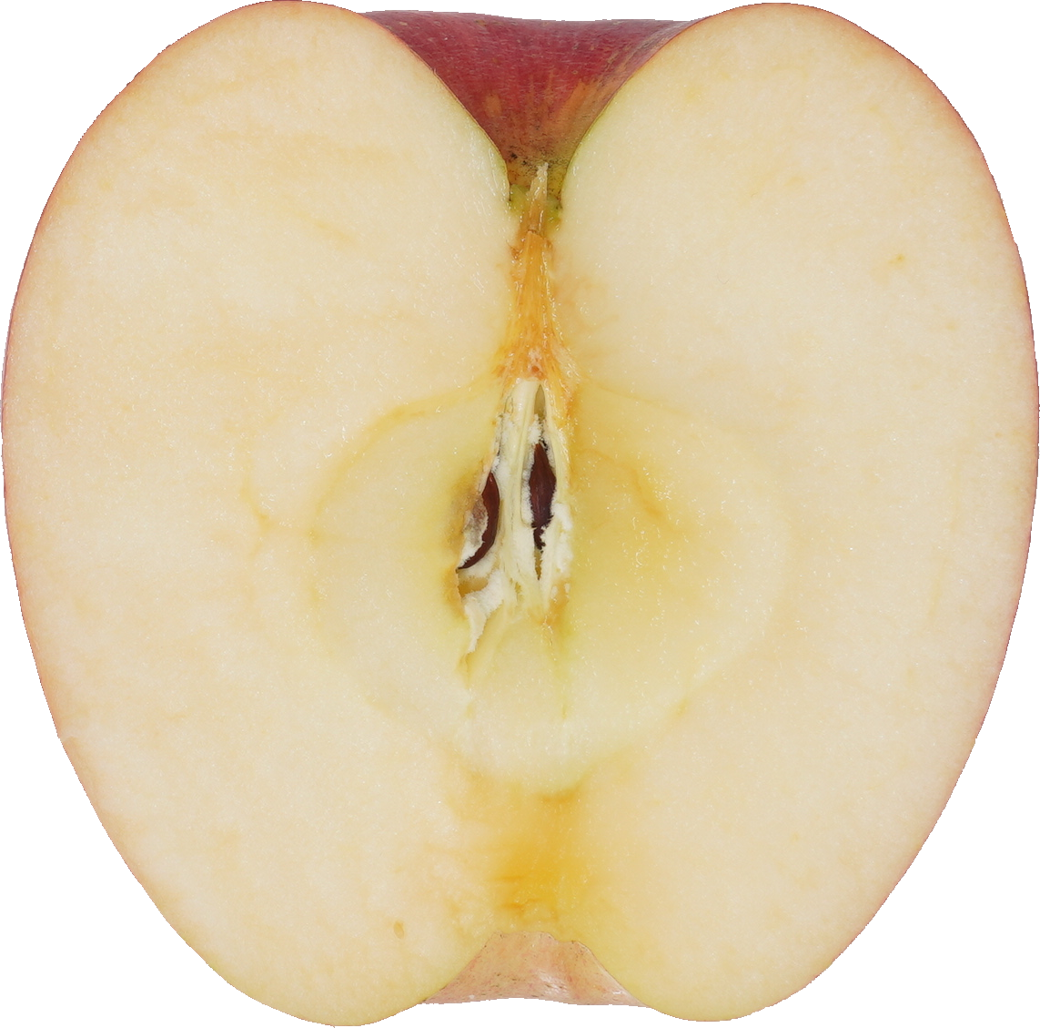 りんご｜商用可フリー画像・背景透過