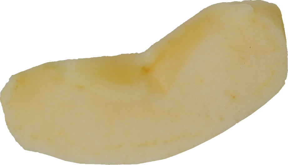 りんご｜商用可フリー画像・背景透過