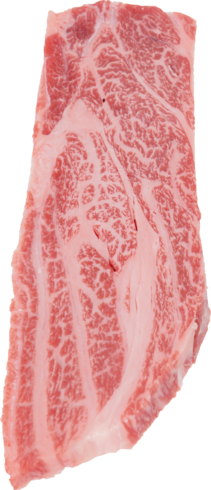 牛-かたロース｜商用可フリー画像・背景透過