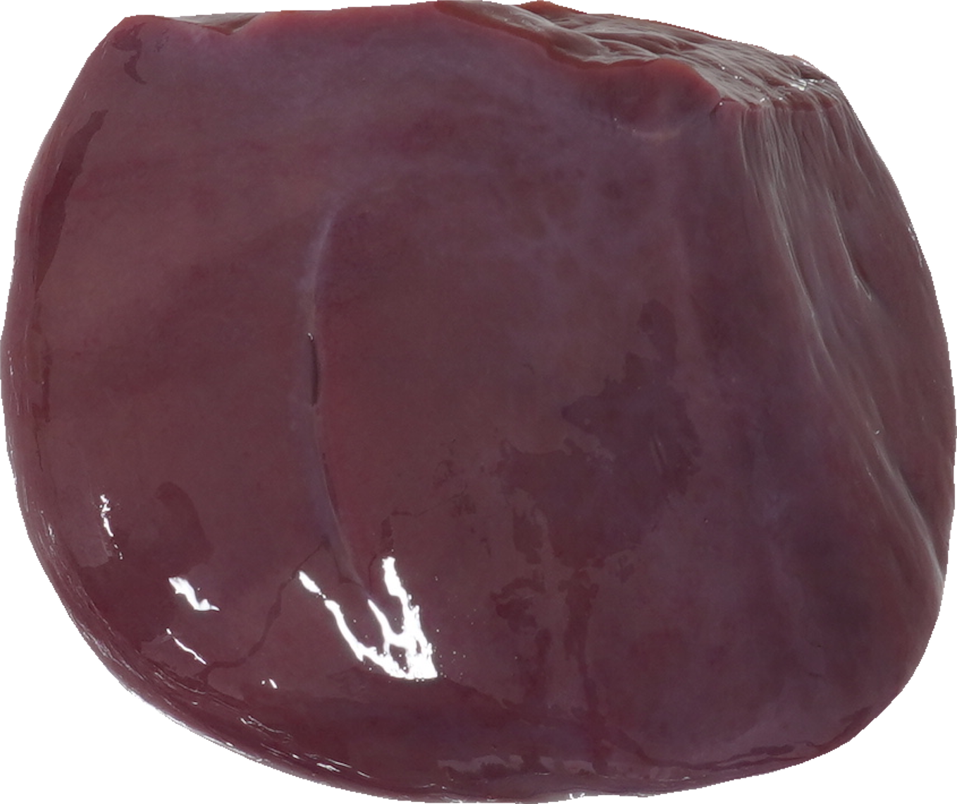 牛-肝臓【レバー】｜商用可フリー画像・背景透過