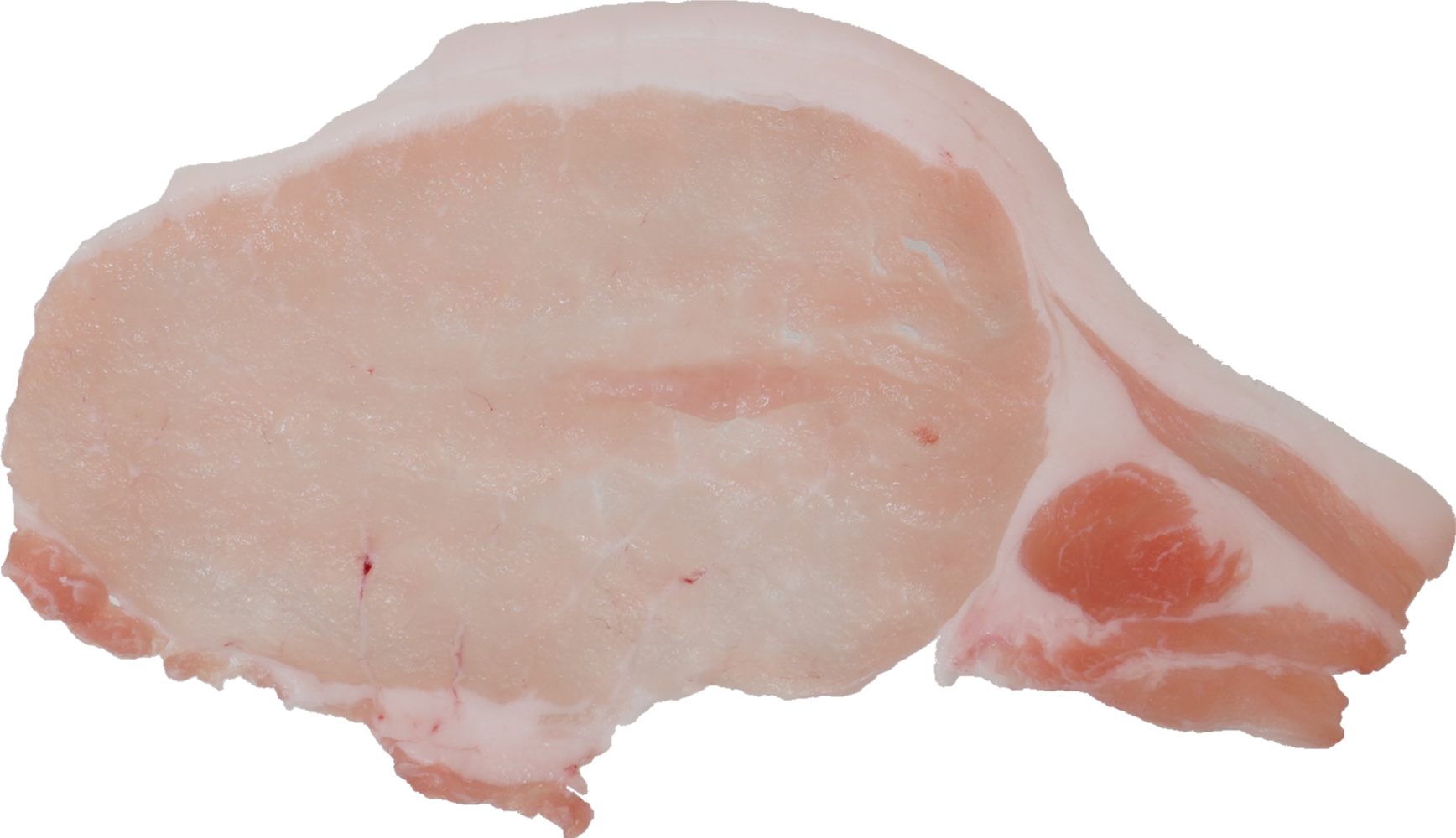 豚-ロース｜商用可フリー画像・背景透過