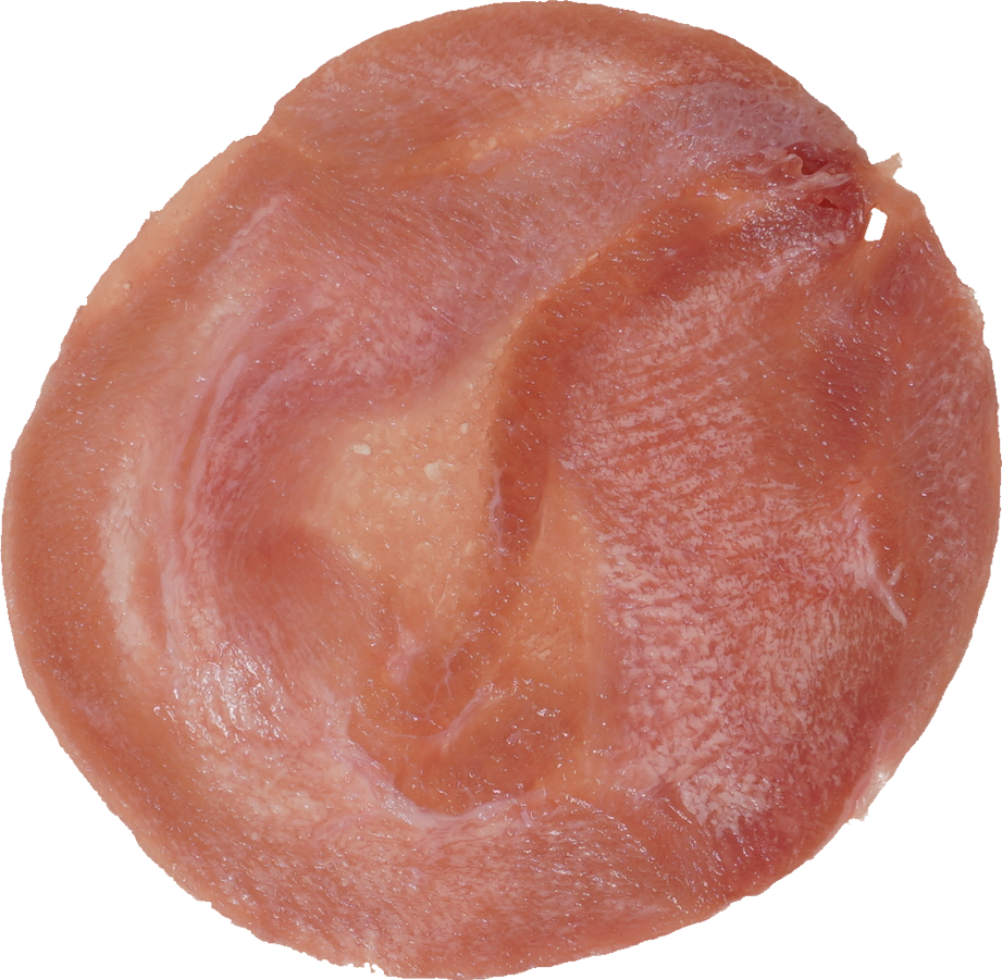 豚-舌【たん】｜商用可フリー画像・背景透過