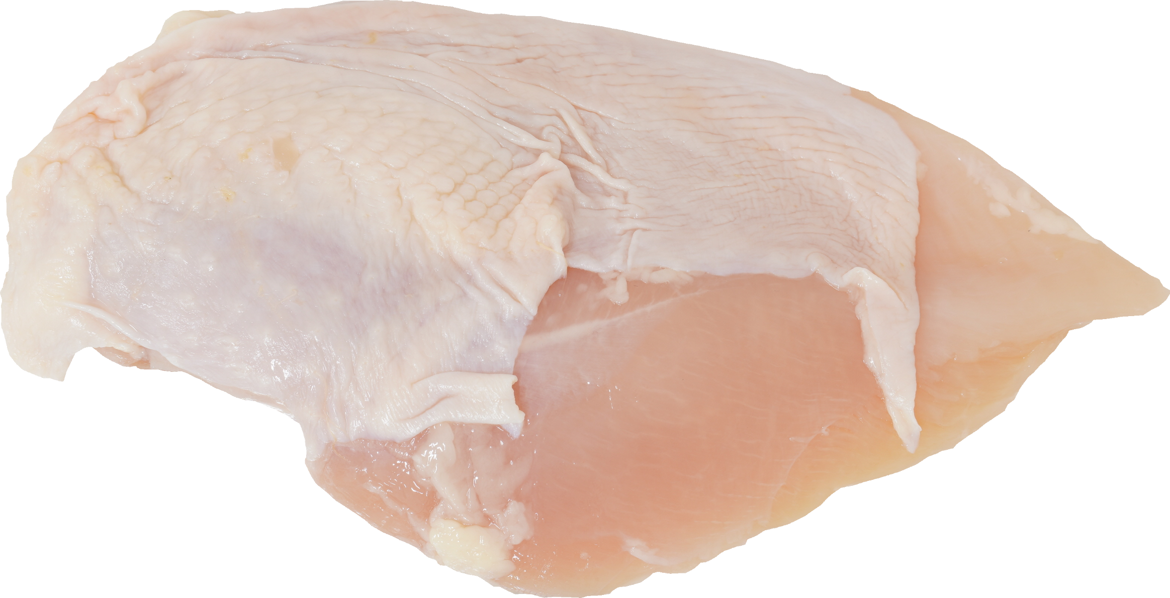 鶏-むね｜商用可フリー画像・背景透過