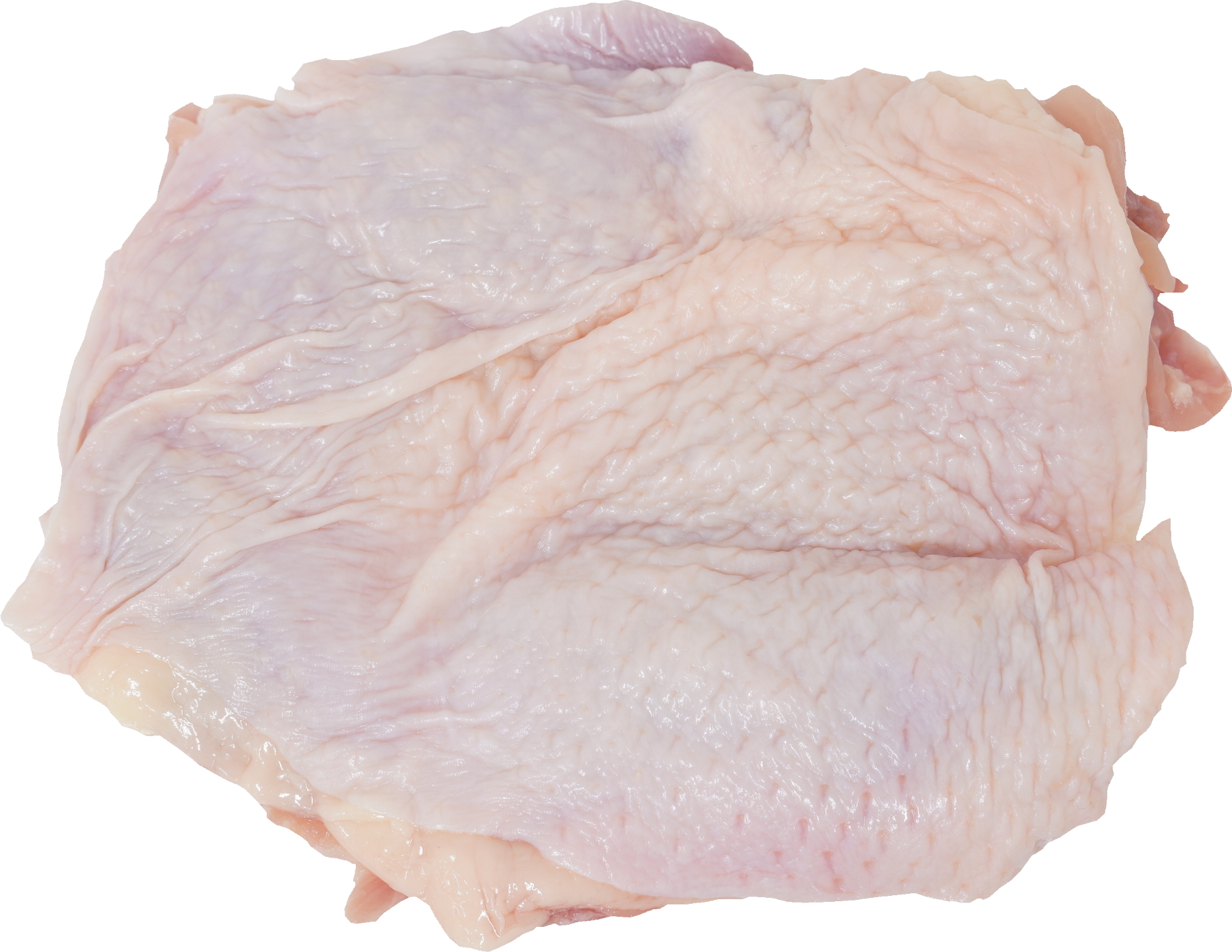 鶏-もも｜商用可フリー画像・背景透過