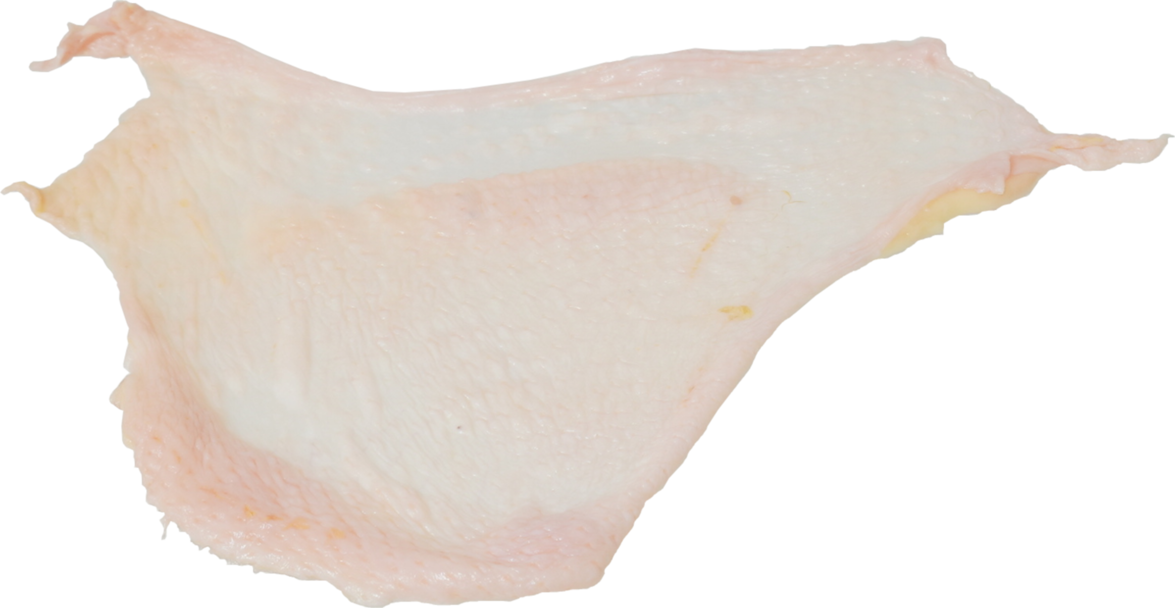 鶏-もも（皮）｜商用可フリー画像・背景透過