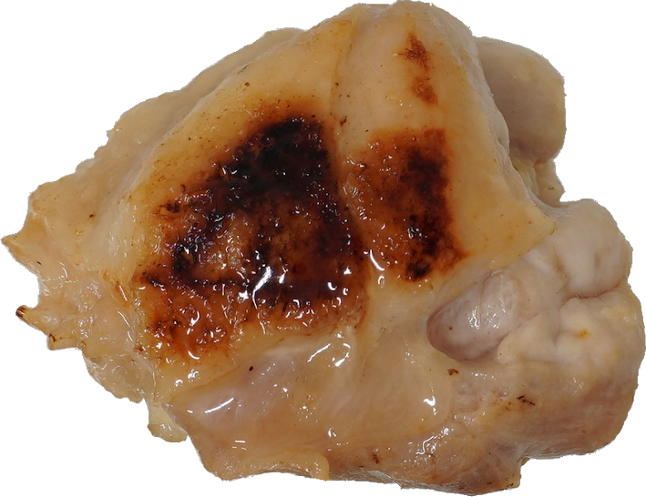 鶏-もも（焼き）｜商用可フリー画像・背景透過