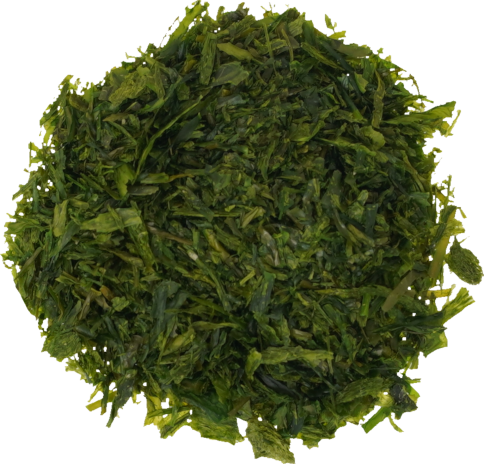 あおのり｜商用可フリー画像・背景透過