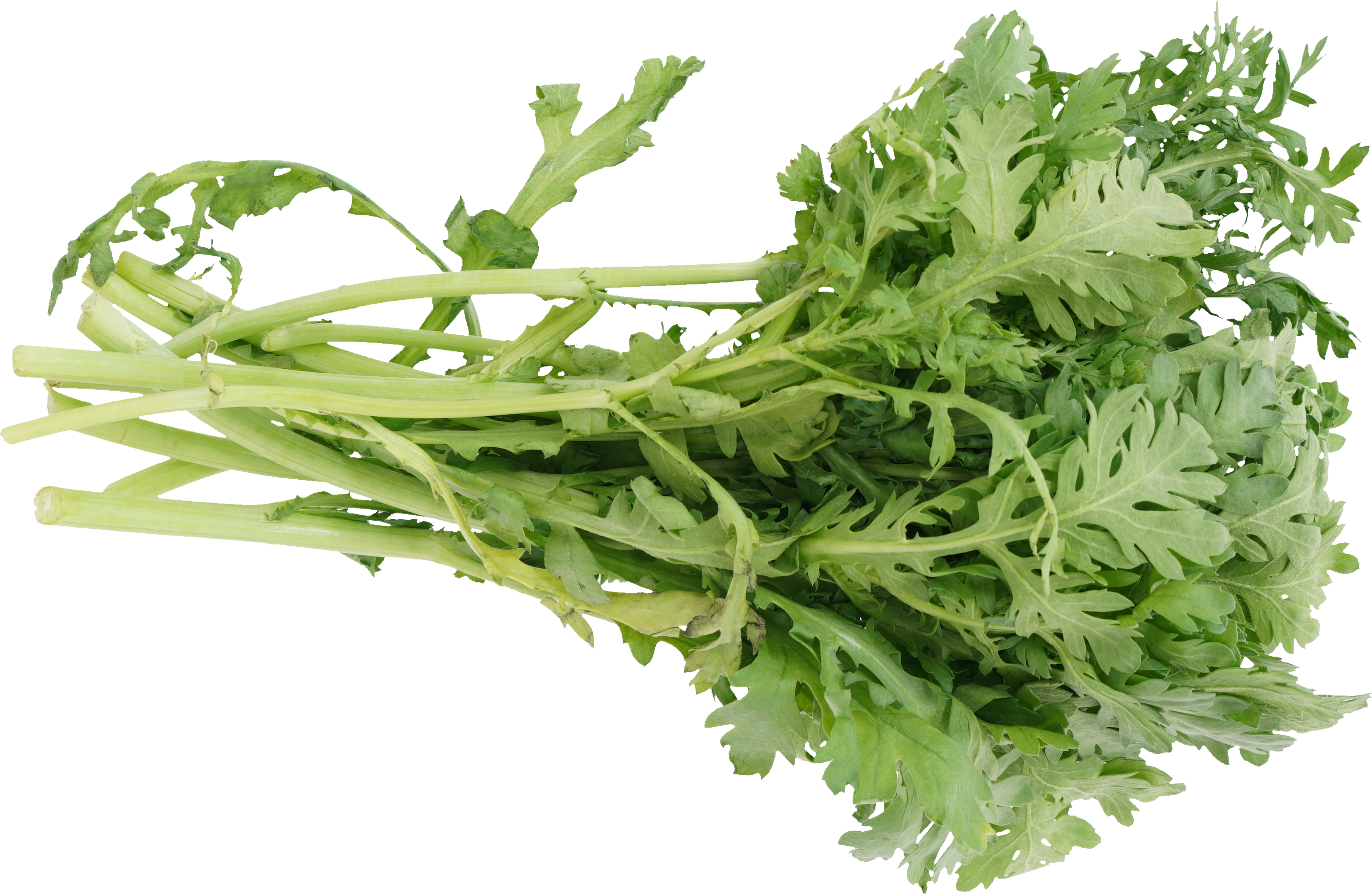 しゅんぎく｜商用可フリー画像・背景透過