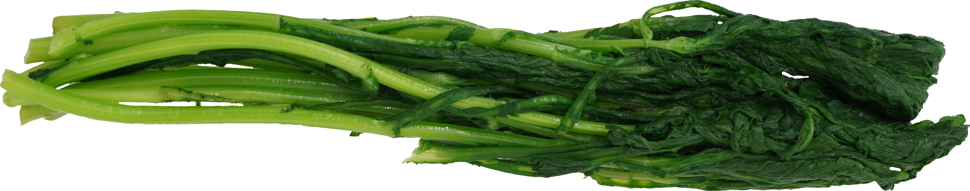 しゅんぎく｜商用可フリー画像・背景透過