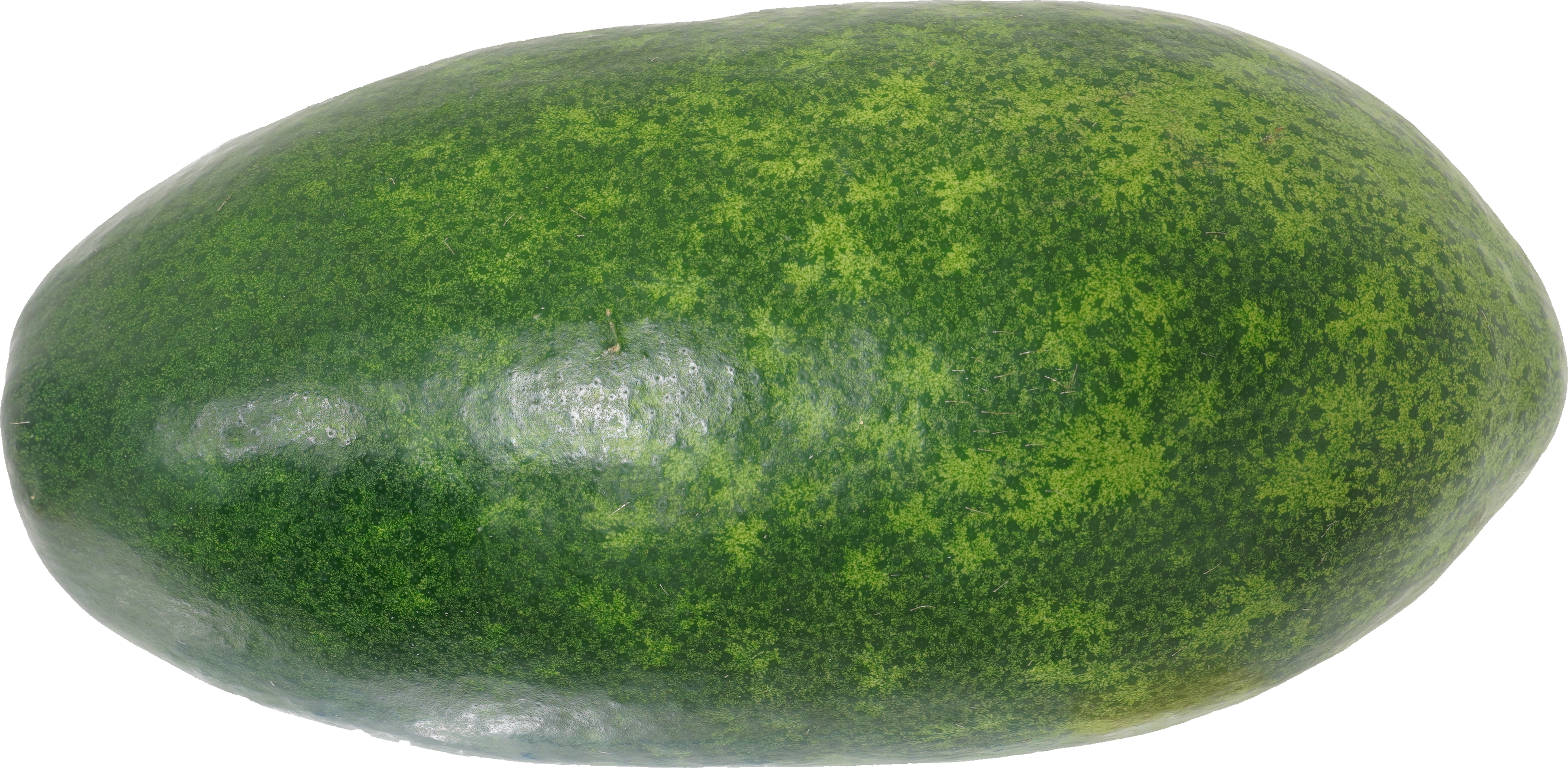 とうがん｜商用可フリー画像・背景透過