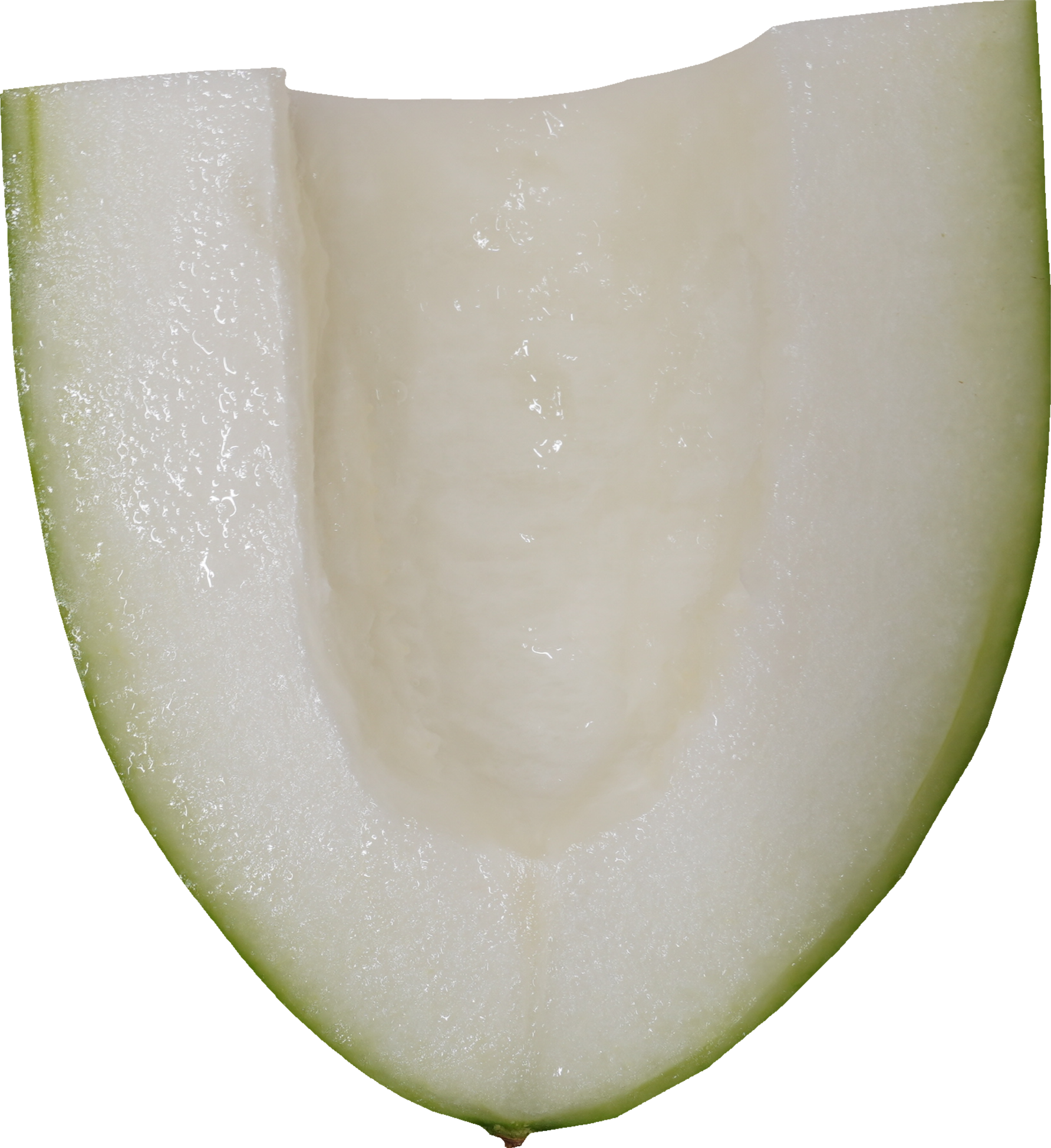 とうがん｜商用可フリー画像・背景透過