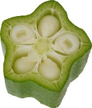 オクラ｜商用可フリー画像・背景透過