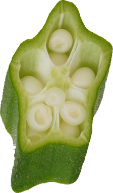 オクラ｜商用可フリー画像・背景透過