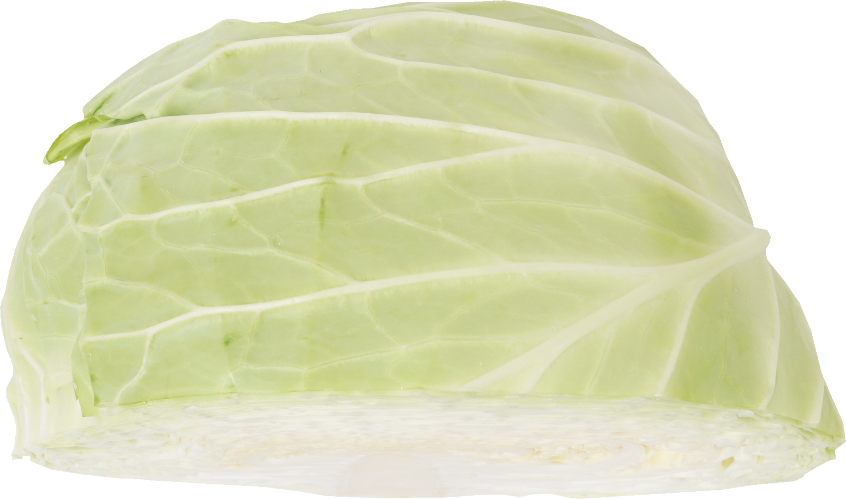 キャベツ｜商用可フリー画像・背景透過