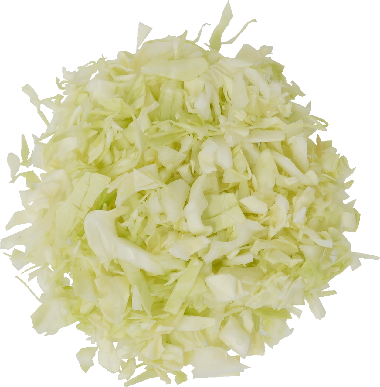 キャベツ｜商用可フリー画像・背景透過