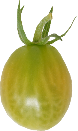 ミニトマト【プチトマト】｜商用可フリー画像・背景透過