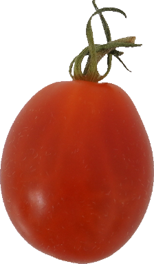 ミニトマト【プチトマト】｜商用可フリー画像・背景透過