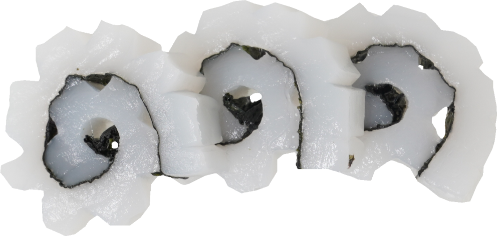 あおりいか｜商用可フリー画像・背景透過