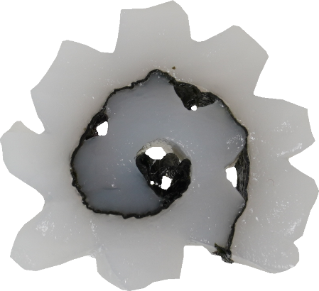 あおりいか｜商用可フリー画像・背景透過