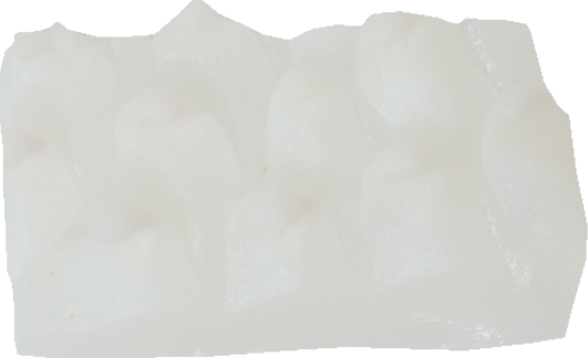 あおりいか（ゆで）｜商用可フリー画像・背景透過