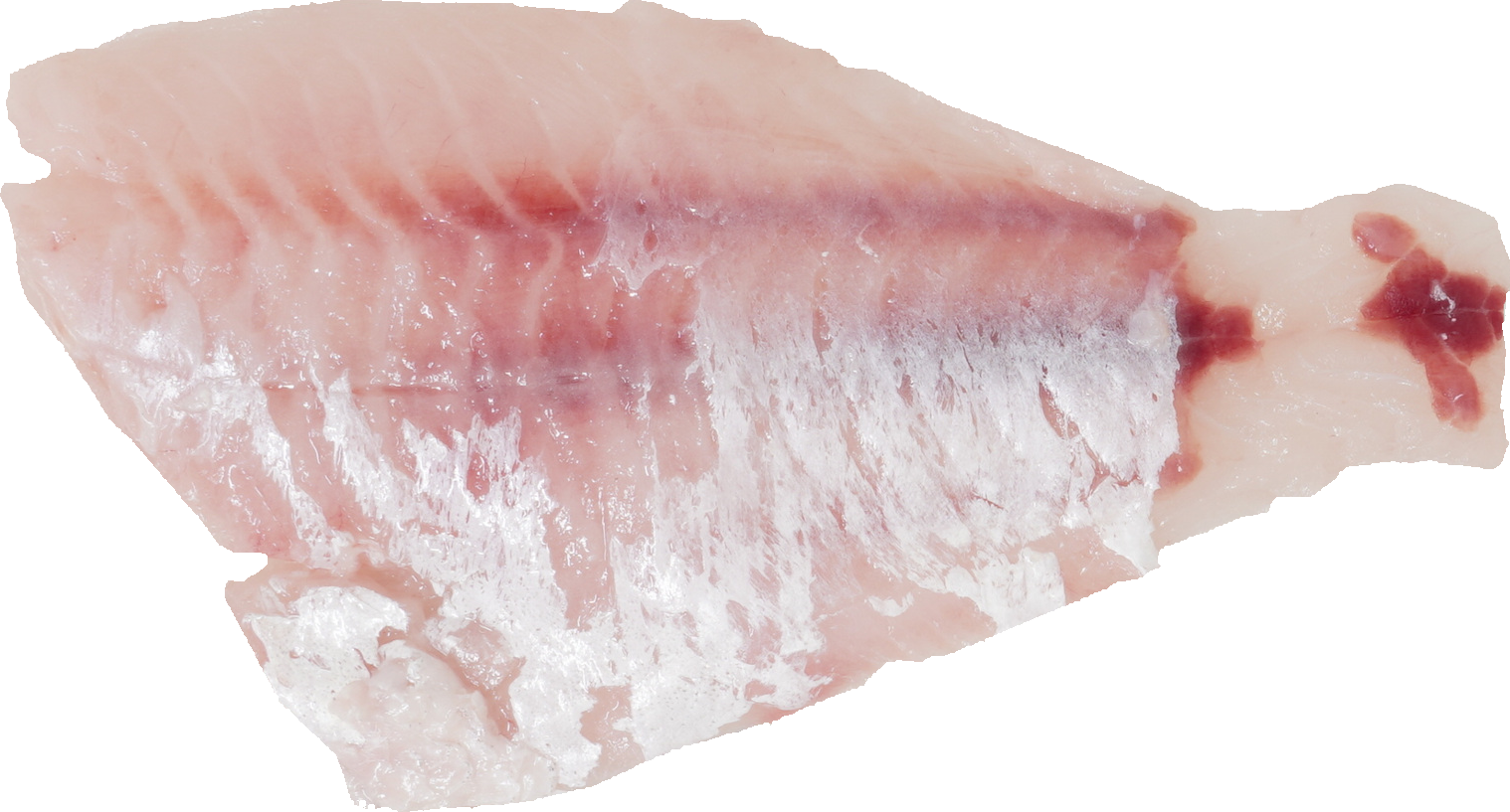 あかむつ【のどぐろ】｜商用可フリー画像・背景透過