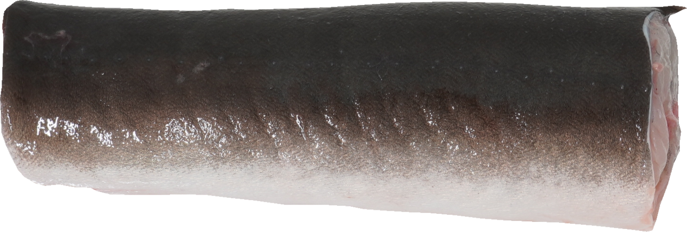 うなぎ｜商用可フリー画像・背景透過