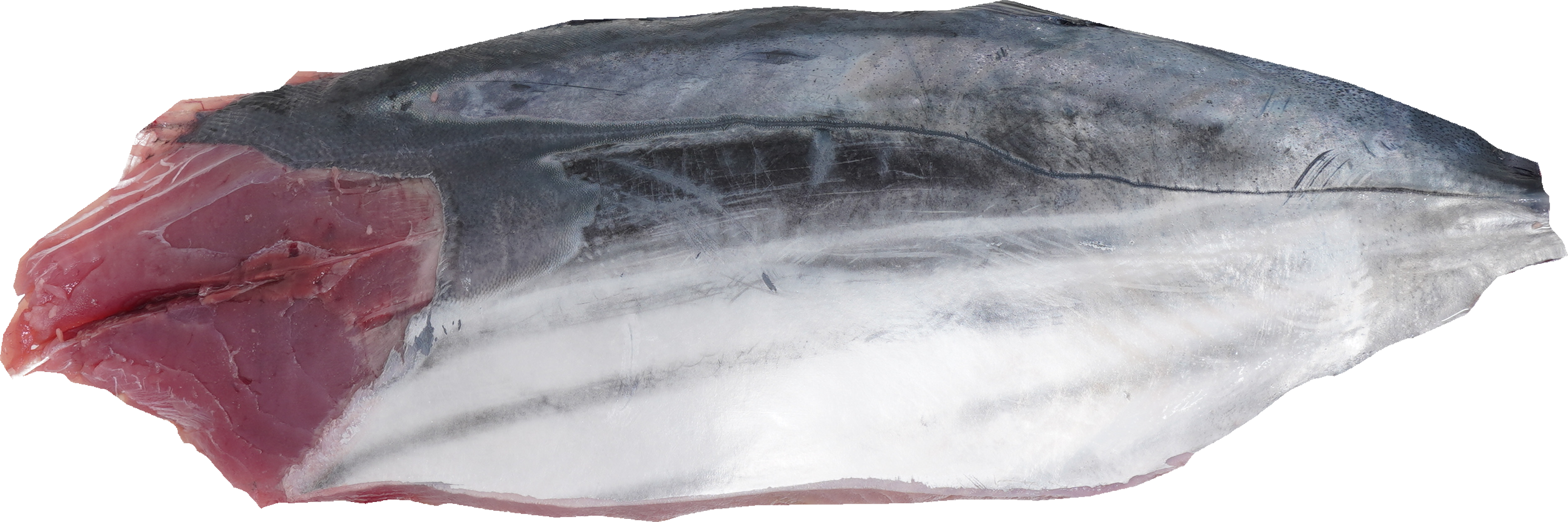 かつお｜商用可フリー画像・背景透過